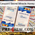 Leopard Secret Miracle Honey kamagra1